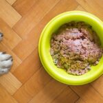 Essential Foods - Når det skal være det bedste hundefoder